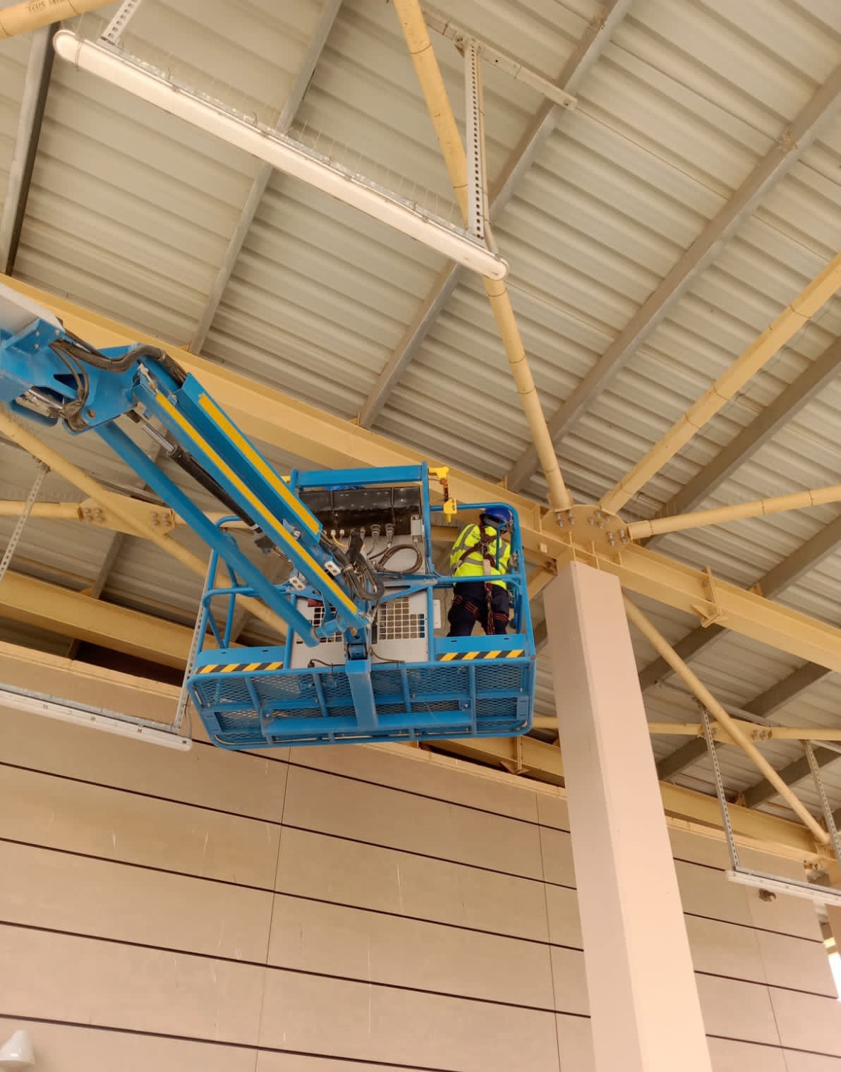 Novaroots Project 70